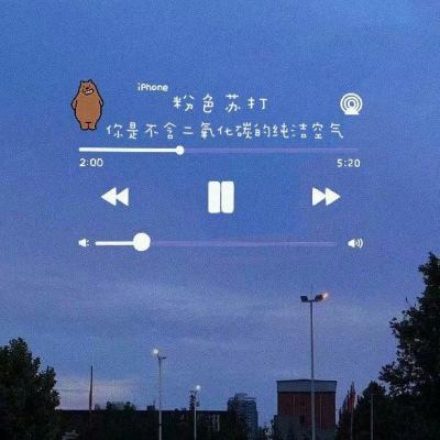 恋之花嫁单机版下载
